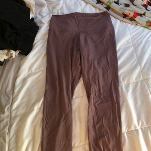 Colorful Koala Leggings